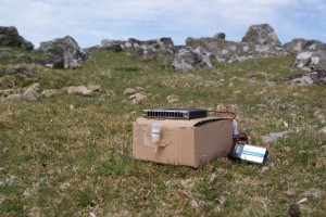 The Dead Man's Nose, in a box with a BBQ scent attached